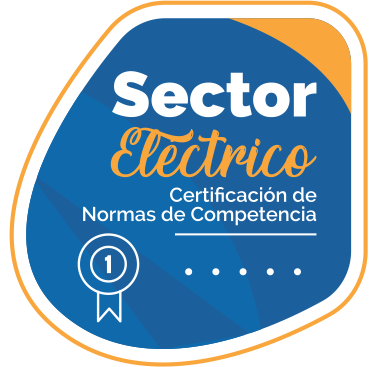 Sector Electrico
